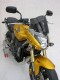 Ermax Plexi Honda CB 600 Hornet 07 