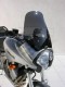 Ermax plexi Touring Versys 650 