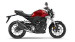 Honda CB 300 R 17-19