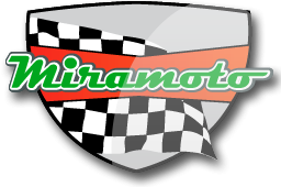 Primary Raster logo